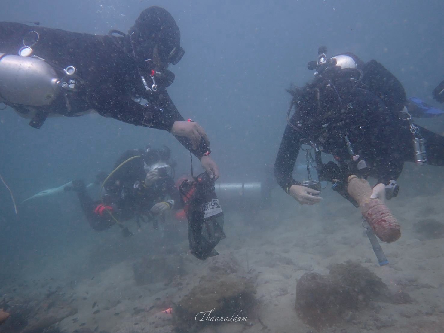 PADI Dive Against Debris × SeaPass — เก็บขยะใต้ทะเล