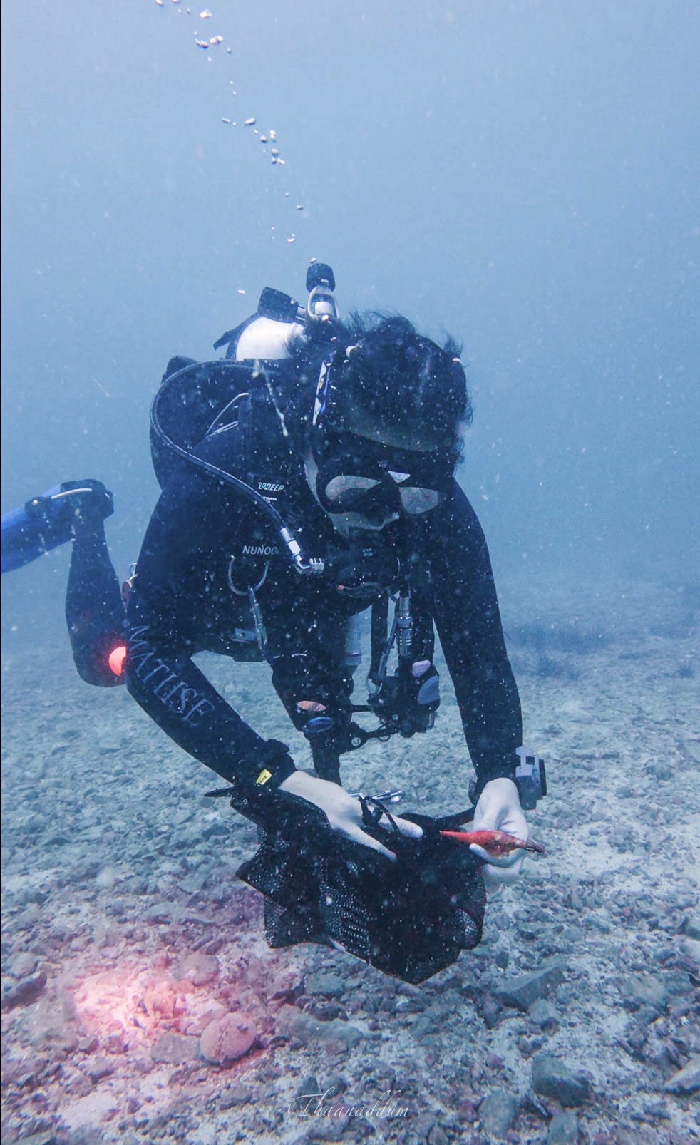 PADI Dive Against Debris × SeaPass — เก็บขยะใต้ทะเล