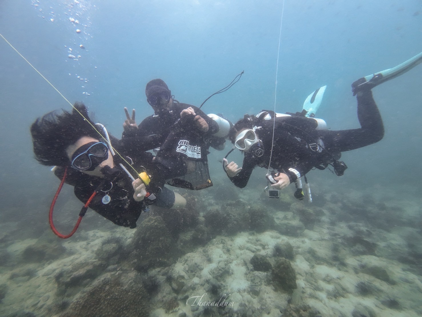 PADI Dive Against Debris × SeaPass — ทีมนักดำน้ำ Dive Against Debris