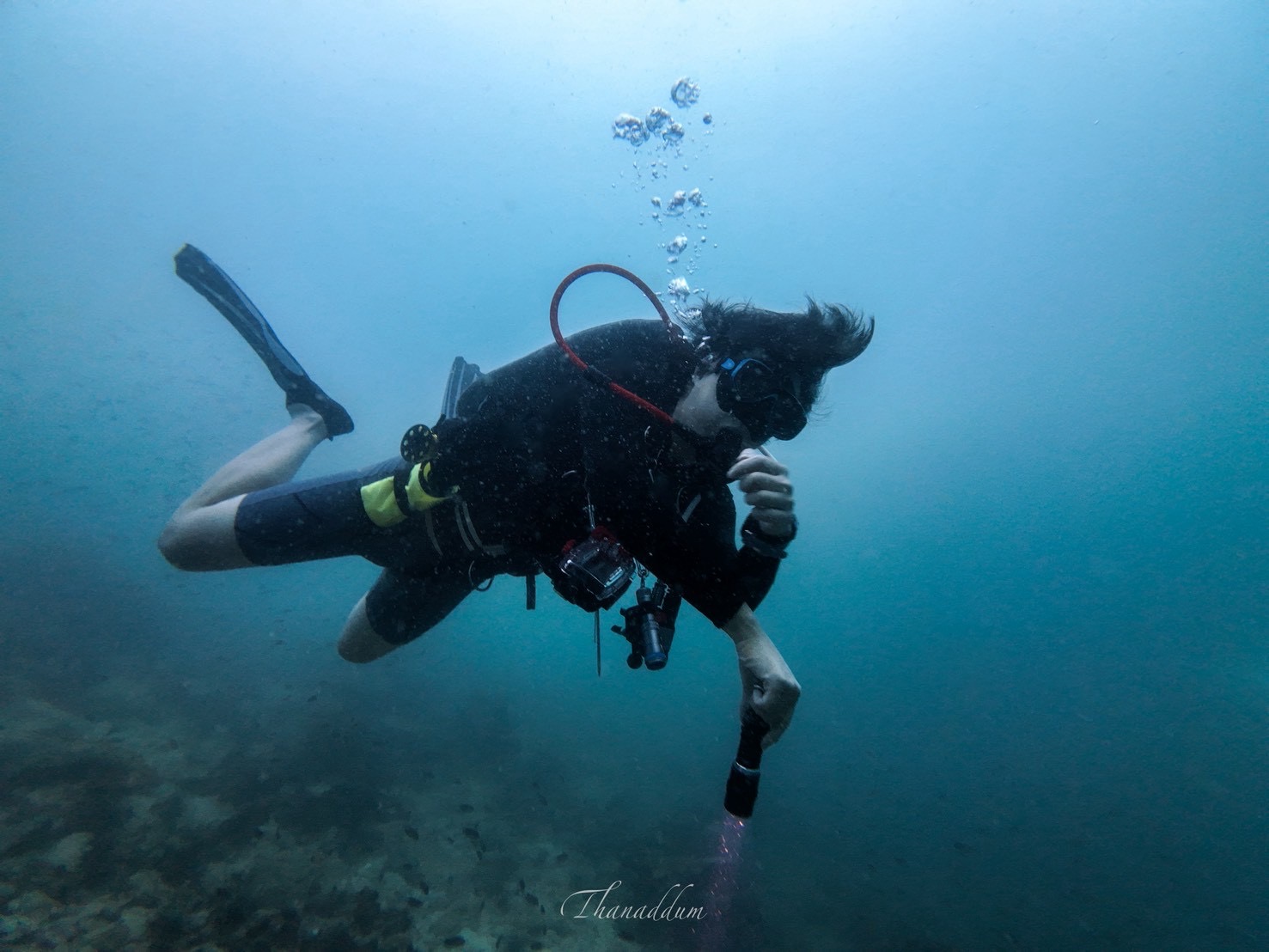 PADI Dive Against Debris × SeaPass — บรรยากาศใต้น้ำ