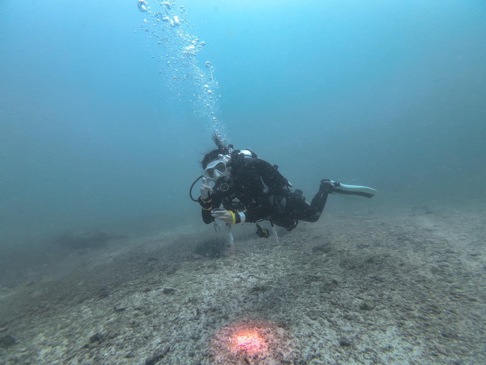 PADI Dive Against Debris × SeaPass — บรรยากาศใต้น้ำ