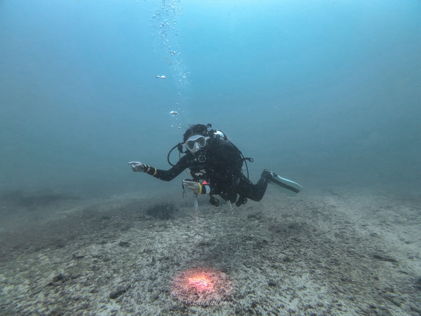 PADI Dive Against Debris × SeaPass — บรรยากาศใต้น้ำ